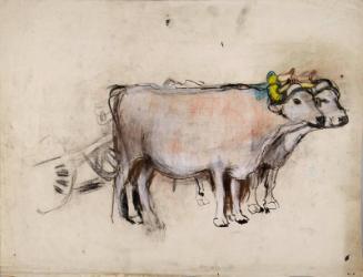 Pair of Oxen with Yellow Yoke