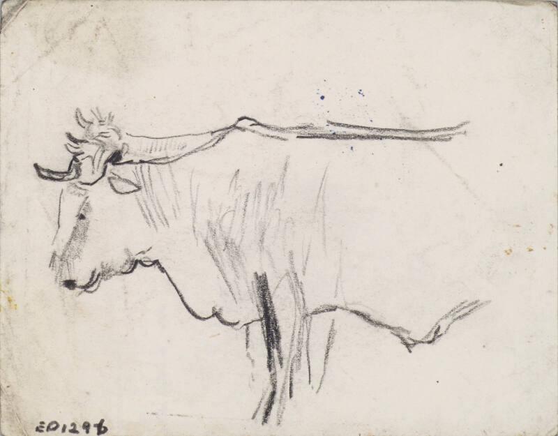 Oxen (verso - Person with Pannier)
