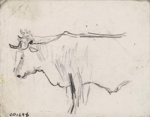 Oxen (verso - Person with Pannier)
