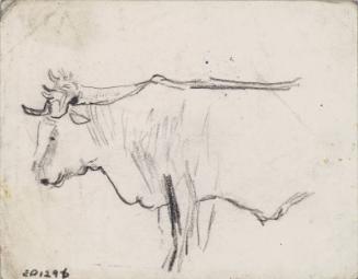 Oxen (verso - Person with Pannier)