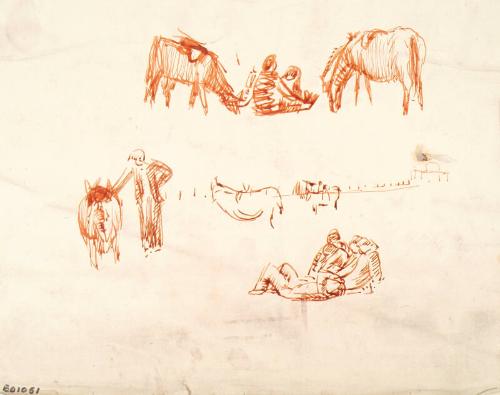 Donkeys Grazing, People Resting