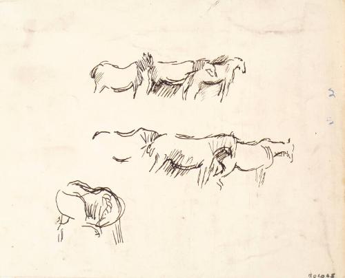 Studies of Horses