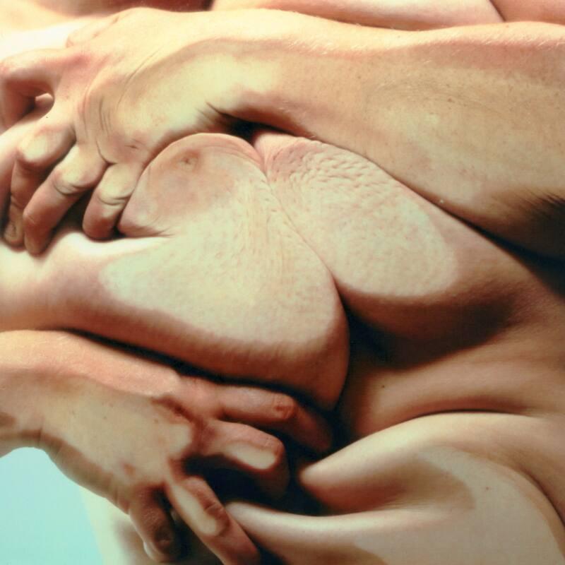 Closed Contact No. 4
by Jenny Saville