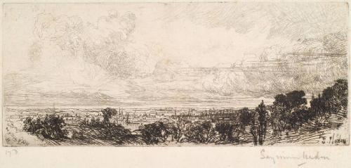 Out of the Study Window