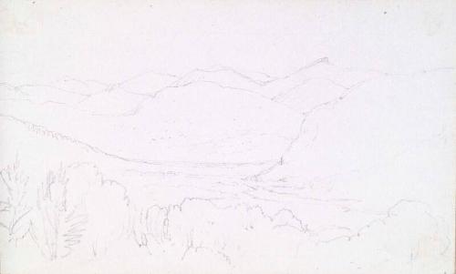 Landscape - Trees in Foreground