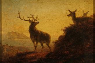 Sketch of Deer - Evening