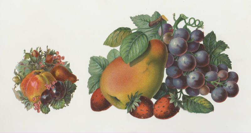 Set of 2 Fruit Scrap-booking Scraps