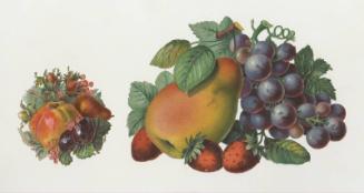 Set of 2 Fruit Scrap-booking Scraps