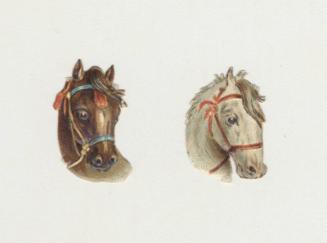 Set of 2 Horse Head Scrap-booking Scraps