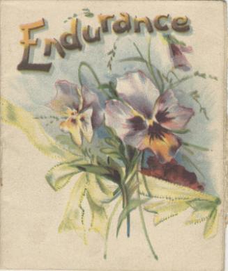 Religous Booklet Entitled 'Endurance'