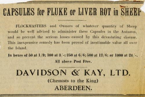 Clipping Referring To Liver Fluke Capsules