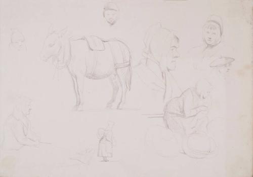 Study of a Donkey, Three Heads, Two Head and Shoulders