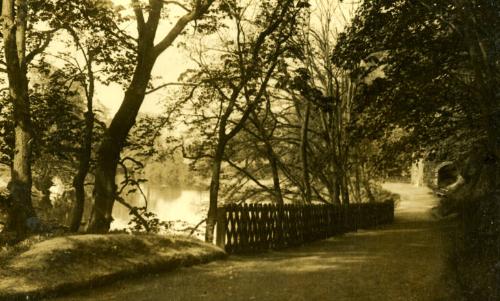 Banks of the River Ayr