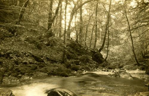 Near Aberfeldy