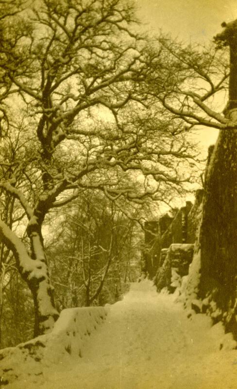 Castle Walk, Stirling