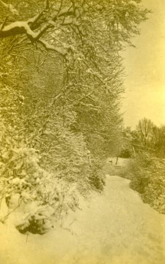 Castle Walk, Stirling