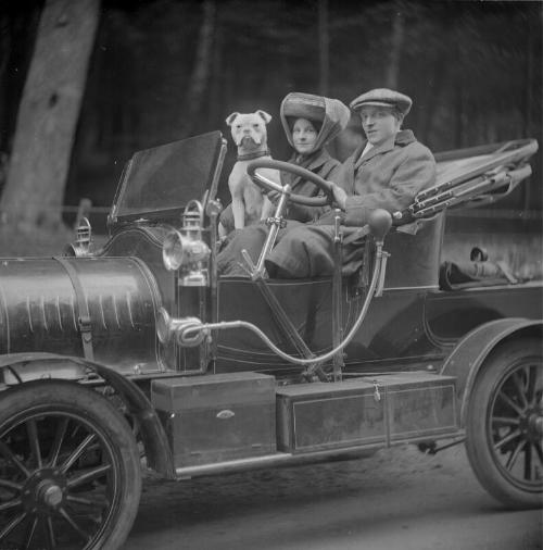 Man Women and Dog in Car