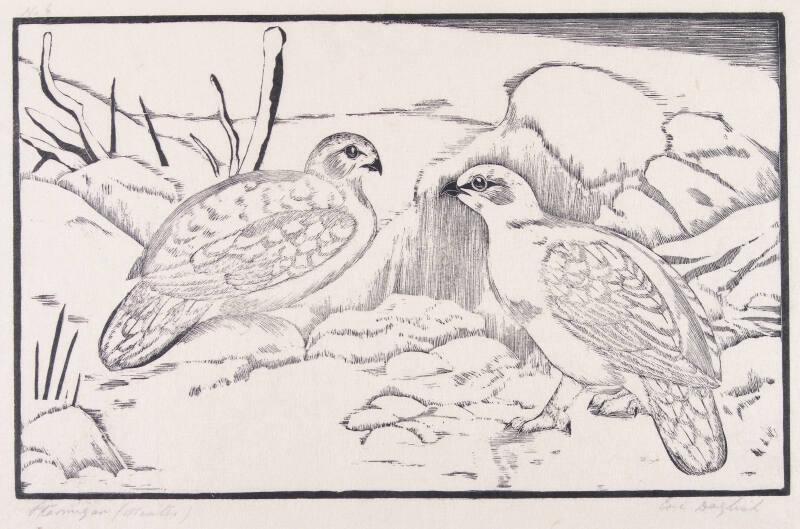 Ptarmigan, Winter