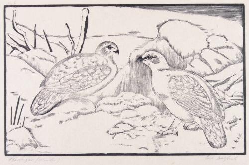 Ptarmigan, Winter