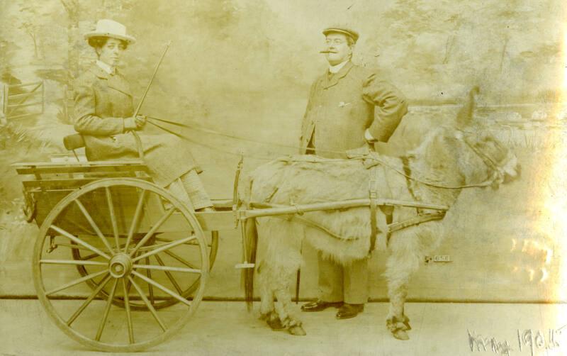 Postcard: Woman in Cart drawn by a Donkey and Standing Man with Cigar