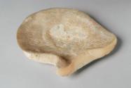 Pair of Carved Oyster Shells