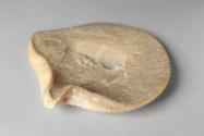 Pair of Carved Oyster Shells