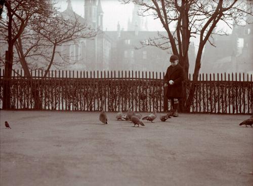 Photograph of boy feeding birds in Union Terrace Gardens, Aberdeen