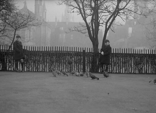 Photograph of boy feeding birds in Union Terrace Gardens, Aberdeen