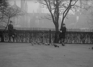 Photograph of boy feeding birds in Union Terrace Gardens, Aberdeen