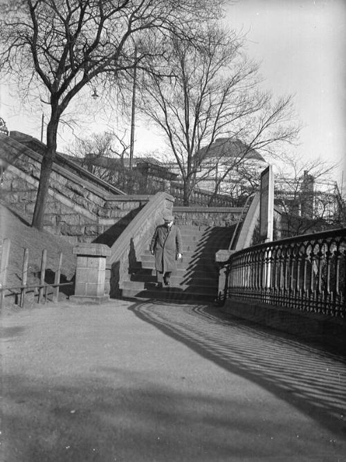 Steps at Union Terrace Gardens