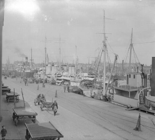 various steamships in the Upper Dock, Aberdeen Harbour, view taken from the Jamiesons Quay side