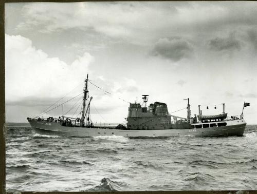 Photograph in album showing trawler Red Hackle
