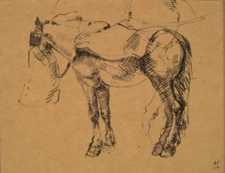 A Street Horse Feeding, Florence by Alexander Fraser