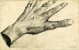 Sketch of Left Hand (Early Photographs & Sketches)