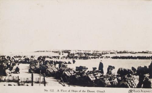 A Fleet of Ships of the Desert, Sinai (Photograph Album Belonging to James McBey)