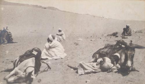 Donkeys and Riders (Photograph Album Belonging to James McBey)