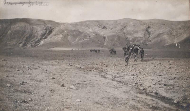 Camels in the Desert (Photograph Album Belonging to James McBey)