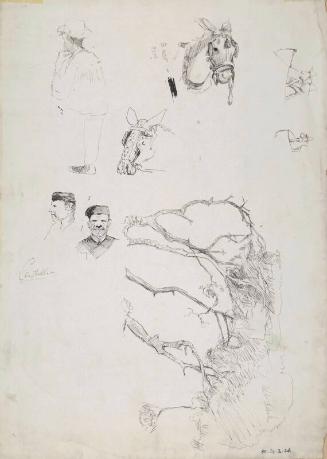 Sketches of Trees, Men, Mules