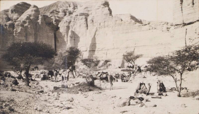 Camels Resting in the Desert (Photograph Album Belonging to James McBey)