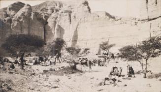 Camels Resting in the Desert (Photograph Album Belonging to James McBey)