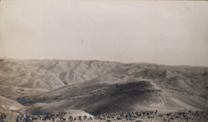 Camel Patrol (Photograph Album Belonging to James McBey)