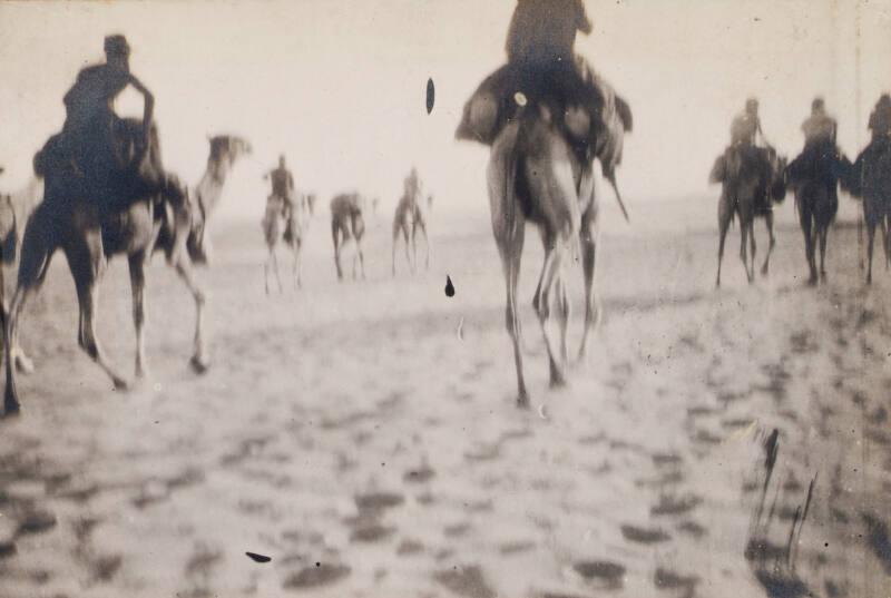 Camel Patrol (Photograph Album Belonging to James McBey)