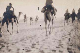 Camel Patrol (Photograph Album Belonging to James McBey)