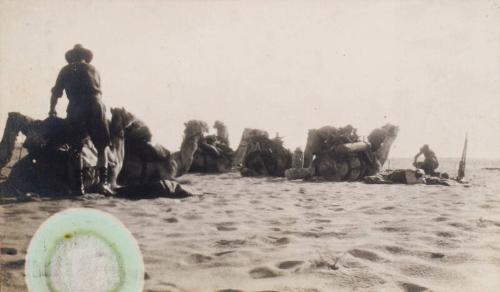 Camel Patrol Resting (Photograph Album Belonging to James McBey)