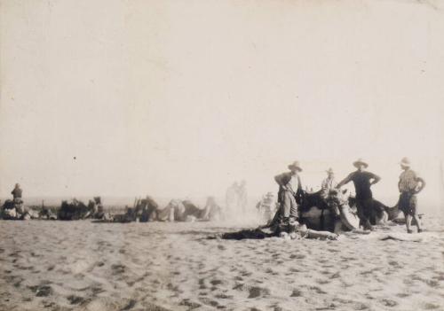 Camel Patrol Resting (Photograph Album Belonging to James McBey)