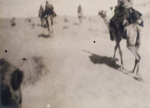 Camel Patrol (Photograph Album Belonging to James McBey)