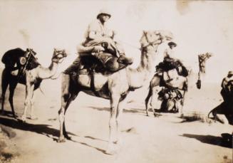 McBey on a Camel (Photograph Album Belonging to James McBey)