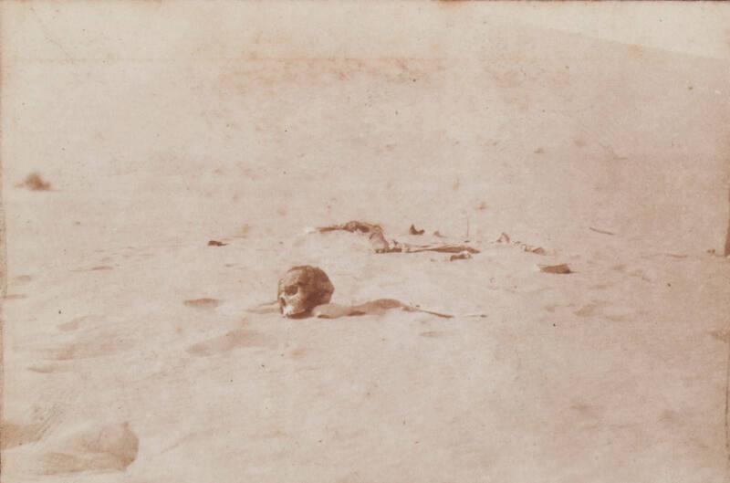 Bones in the Desert (Photograph Album Belonging to James McBey)