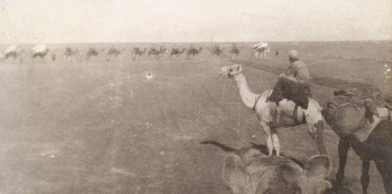 Camel Patrol (Photograph Album Belonging to James McBey)