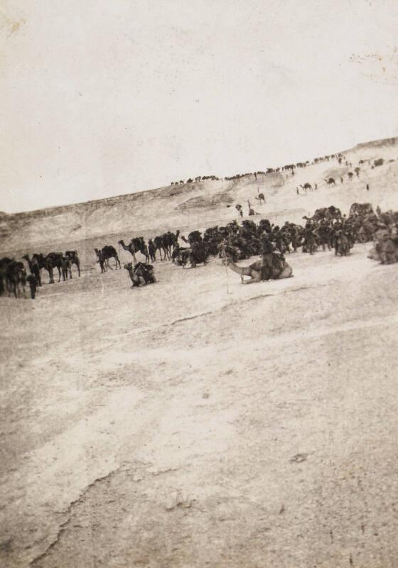 Herd of Camels (Photograph Album Belonging to James McBey)